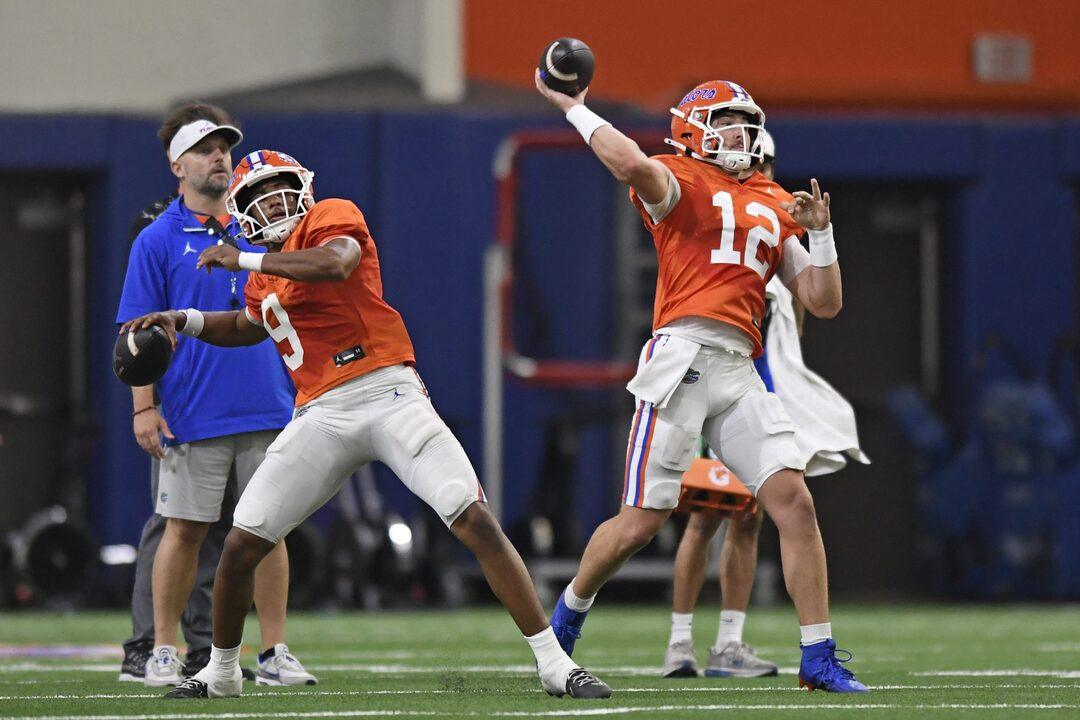 training gators