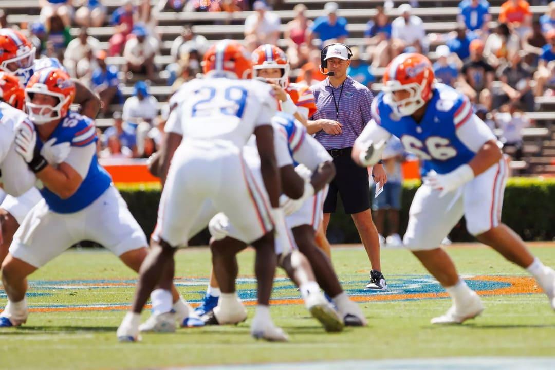 final blue gators