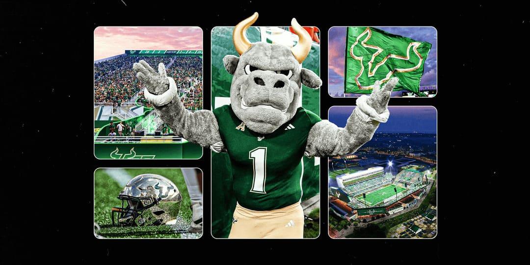 usf bulls